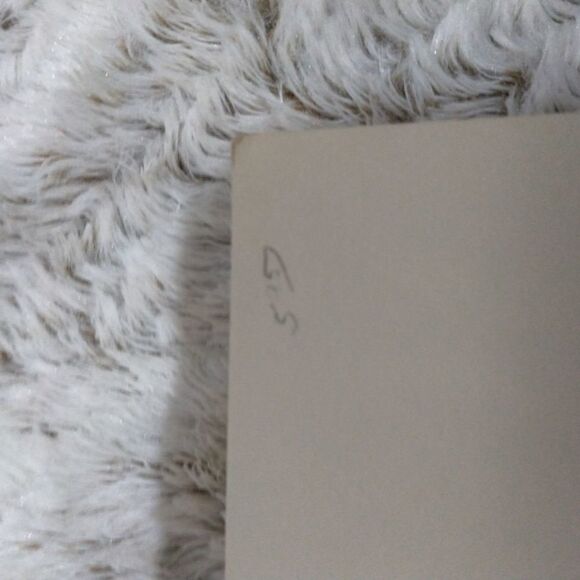 The authentic life of Billy the Kid by Pat Garrett - Picture 3 of 6